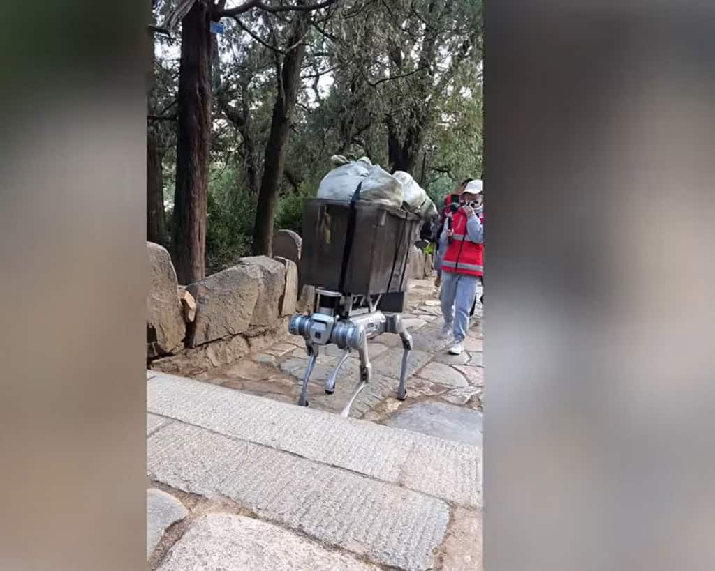 Cães-robôs podem virar os novos ajudantes dos astronautas na Lua