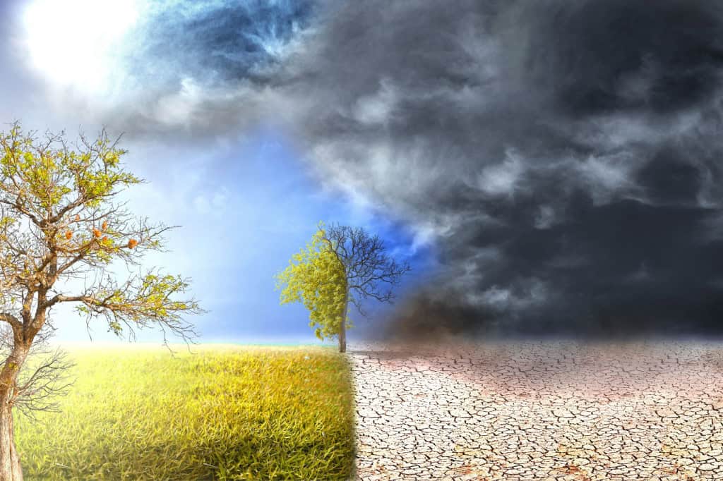 El Niño: chance de fenômeno forte nos próximos meses salta para 95%